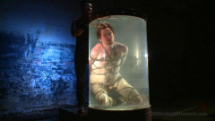 Head Buzzed, Ass Stretched and Water Tormented to The Extreme | Download from Files Monster