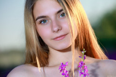 Dakota Pink Lavender Fields | Download from Files Monster