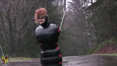 A Walk in the Rain | Download from Files Monster