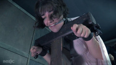 Personal Pillory | Download from Files Monster