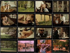 Heisse Stutenlaisse Tomber Ta Culotteles Soubrettes Du Plaisir 1983's Part 1 | Download from Files Monster