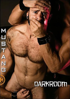 Gay Darkroom #1 | Download from Files Monster