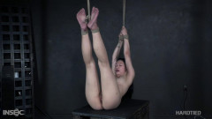 On A Lark | Download from Files Monster