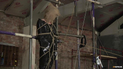 Making His Big Cock Spew Cum! | Download from Files Monster