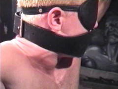 13 The WoodShed | Download from Files Monster