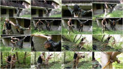 GayWarGames Wrong Place To Set A Fire - Part 2 | Download from Files Monster
