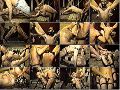 Obedience Training | Download from Files Monster