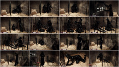 Freaksinside Clip 316 | Download from Files Monster