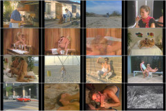 Catalina - Jeff Stryker - The Switch Is On | Download from Files Monster