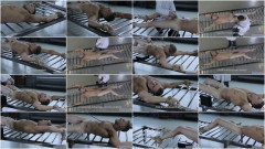 One Day From Prisoners Life - Final Part | Download from Files Monster