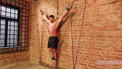 Douglas Andrews | Download from Files Monster