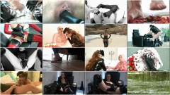 Miss Eve Short Cuts | Download from Files Monster