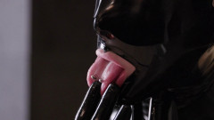 Latex Vibed | Download from Files Monster