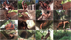 Cruisin Fuck Forest | Download from Files Monster