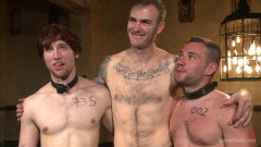 Bound Gods Live- New House Slaves Tested By The Kink Olympics | Download from Files Monster