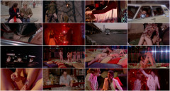 Night Bird (1977) | Download from Files Monster