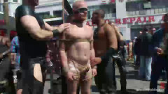 Dore Alley Pig | Download from Files Monster