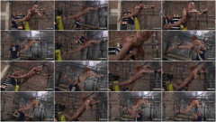 Michaelwyatt Sebastiankane | Download from Files Monster