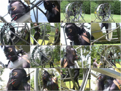 Jay winds up Ceci | Download from Files Monster