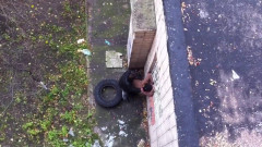 Drone recording sex in street | Download from Files Monster