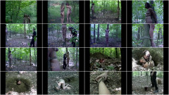 Tyler File | Download from Files Monster