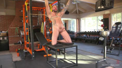 Cock Workout | Download from Files Monster