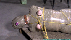 Diamondly Captured, Mummified for Shipping - Part 4 Futilestruggles | Download from Files Monster