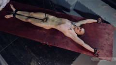Another Victim of Justice - Part V | Download from Files Monster