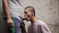 Learning | Download from Files Monster