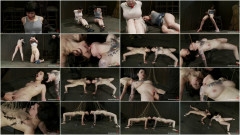 Seek pleasure for the climaxes, linger for the fastenings | Download from Files Monster