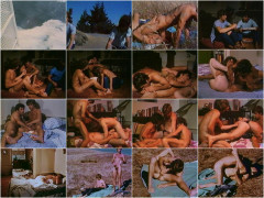 The Insatiables - 1972's | Download from Files Monster