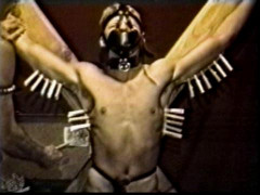 Obedience Training | Download from Files Monster