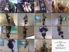Fuck-in-a-box & Dangle Damsel | Download from Files Monster