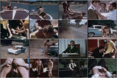 Falcon - Champs (FVP003 - 1979) | Download from Files Monster