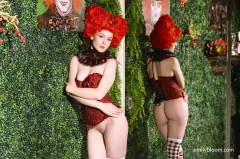 Queen Of Hearts - Emily Bloom | Download from Files Monster