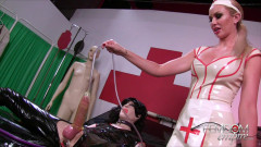 Femele Domination Video 687 - Transformed and Milked | Download from Files Monster