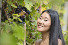 Katana - Grapes | Download from Files Monster