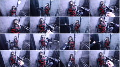 Fantia - Lemon - Clip 65 | Download from Files Monster