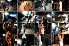 The Pig Worthless And Whipped Brutalmaster | Download from Files Monster