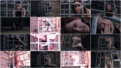Good Slut Part One Realtimebondage | Download from Files Monster