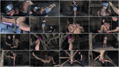 Tickled Hardtied | Download from Files Monster
