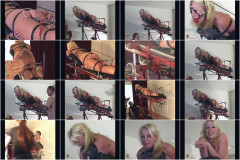 Seven All in One | Download from Files Monster