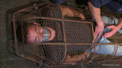 Helpless and caged like an animal | Download from Files Monster