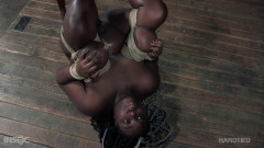 Sterling Times | Download from Files Monster