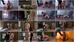 Michael Rogers | Download from Files Monster