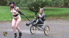 Houseofgord - Mistress Quinn's new Pony Girl -Part I | Download from Files Monster