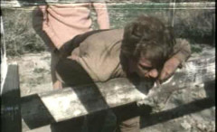 Greenhorn - 1982's | Download from Files Monster