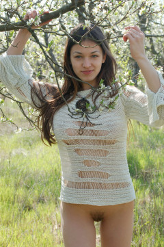 Sofi A Oui | Download from Files Monster