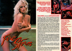 Firestorm (1984) | Download from Files Monster