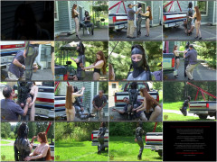 Bouncing Bound Babe | Download from Files Monster